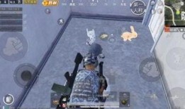 和平精英衣服最新爆料