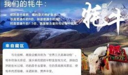 东南亚大事件最新爆料,最新大事件揭秘